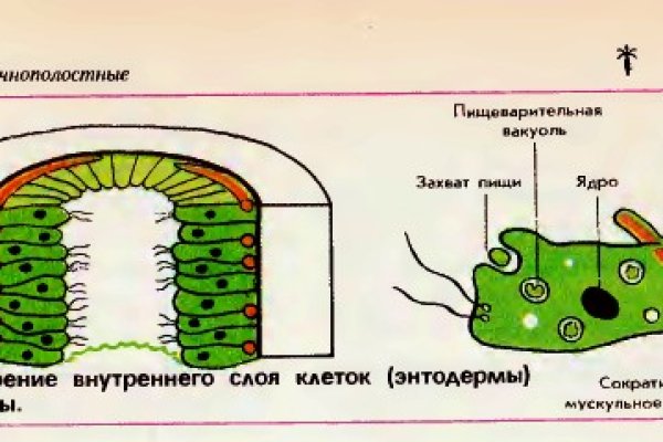 Кракен сайт 1kraken me вход