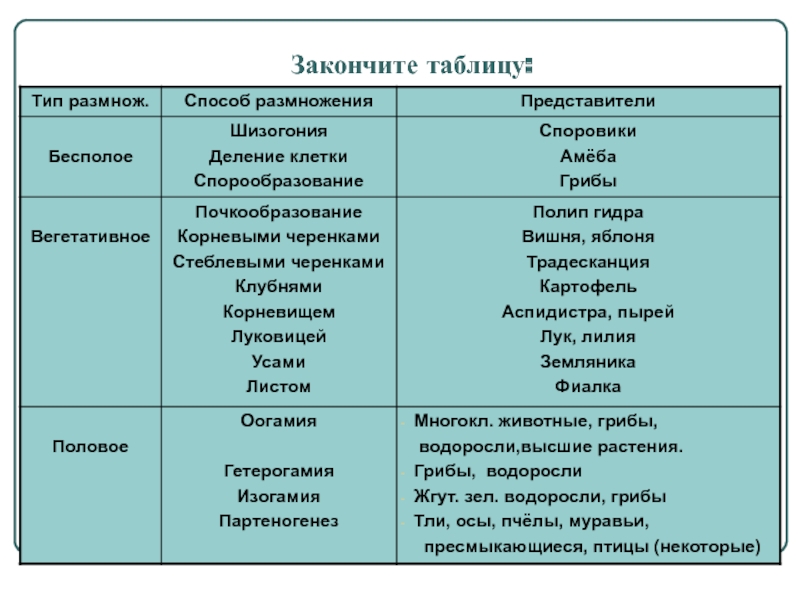 Можно ли зайти на кракен через обычный браузер