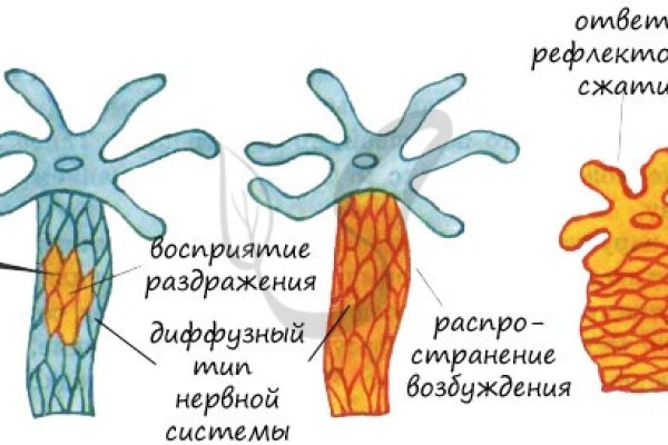 Ссылки на сайты в даркнете