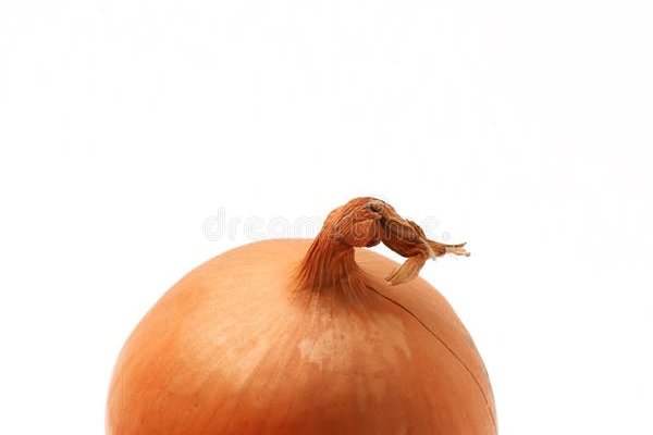 Kraken istand onion