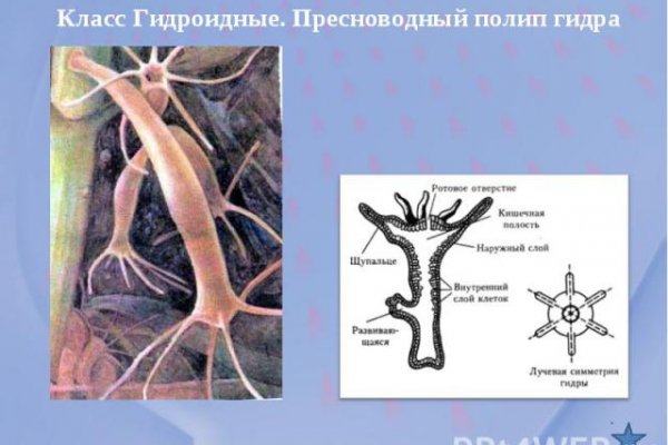 Кракен онион не работает